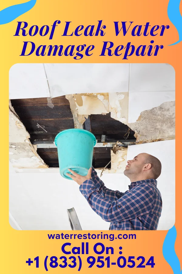 Roof Leak Water Damage Repair in St. Paul, OR